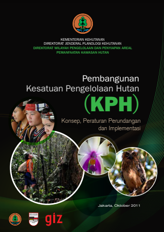 Pembangunan Kesatuan Pengelolaan Hutan